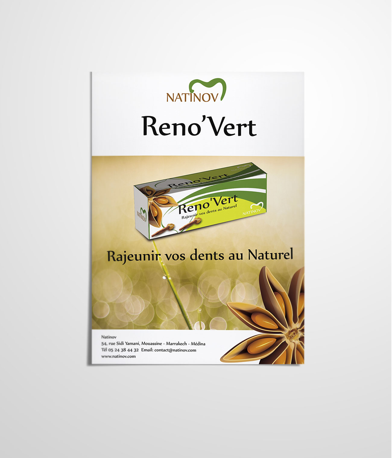 Nationov Reno'vert flyer