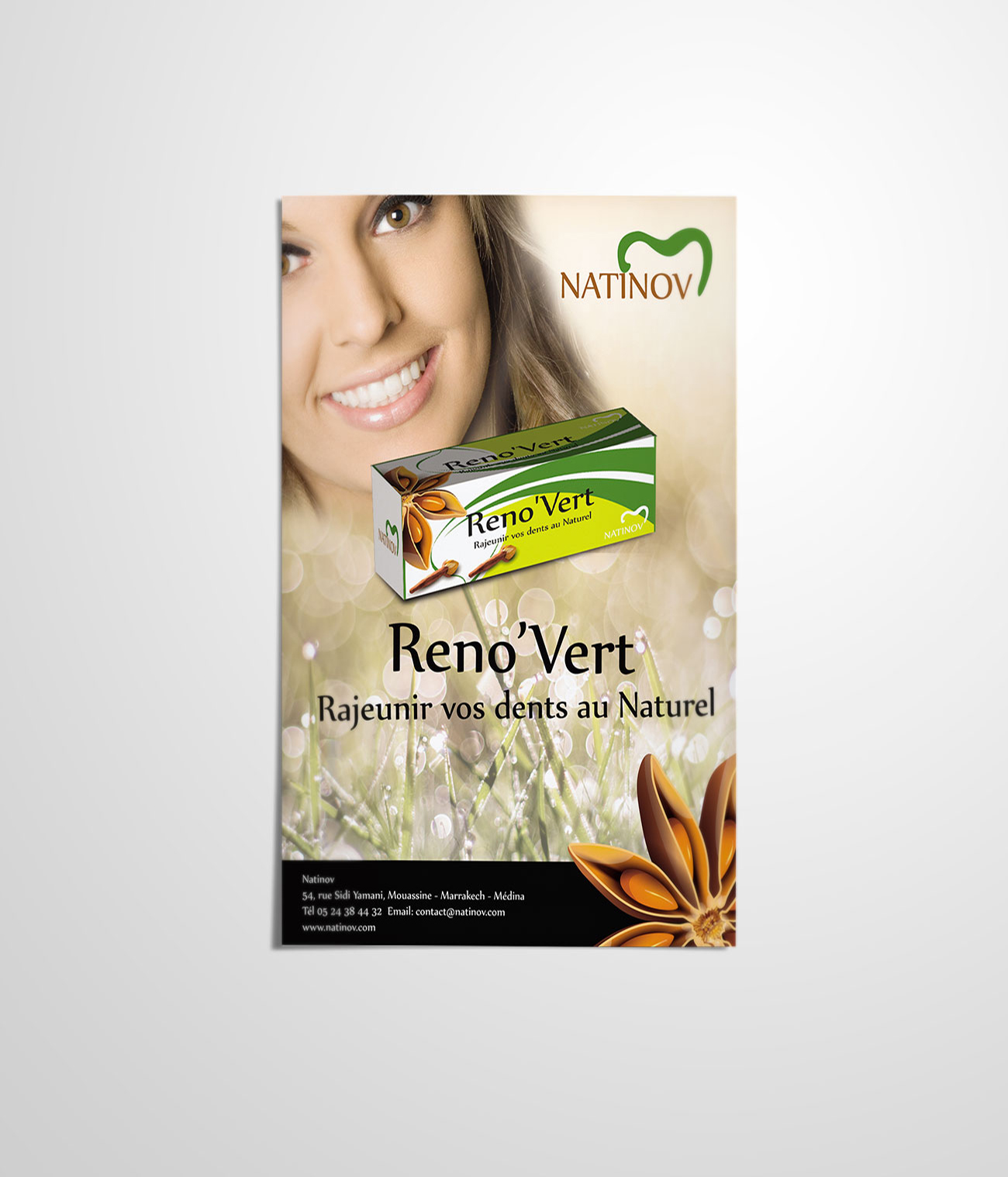 Reno'Vert Flyer 1