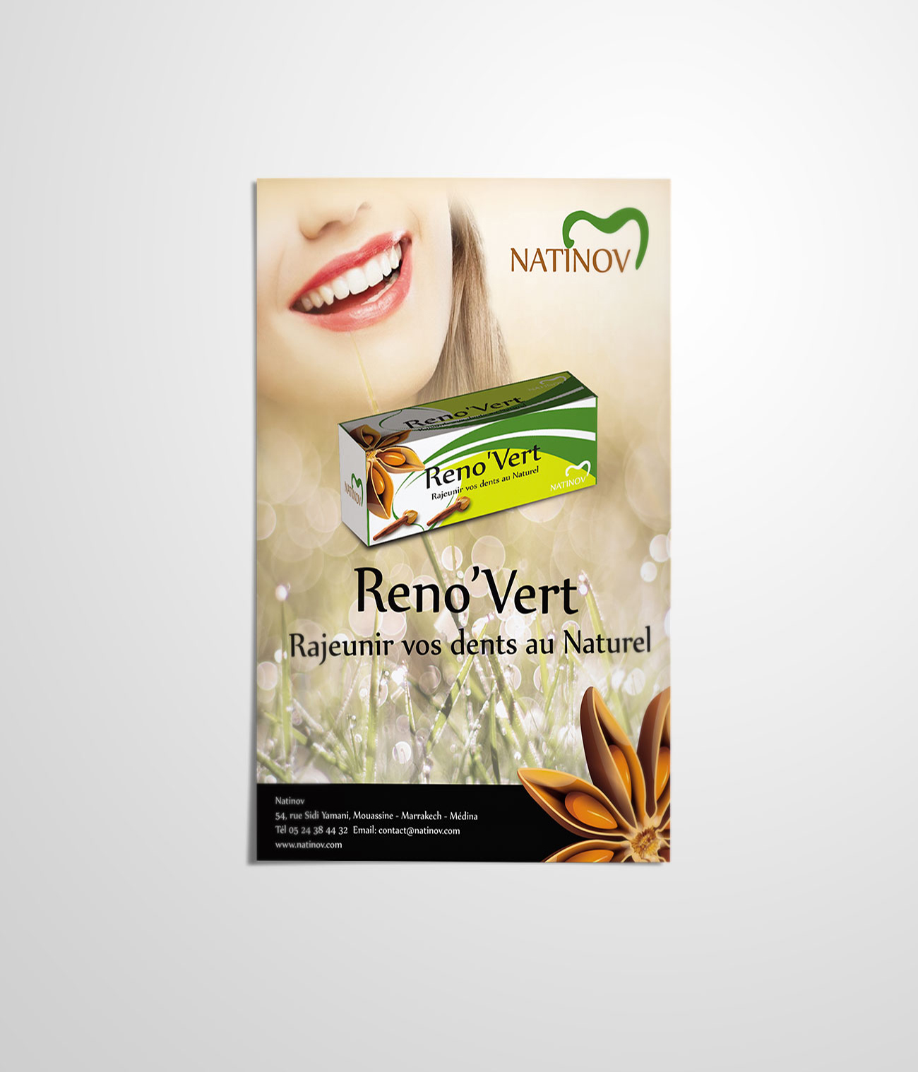 Reno'Vert Flyer 2